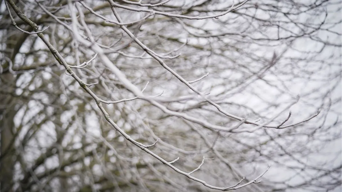 El año acaba este miércoles con avisos en seis provincias por nieblas, olas y frío