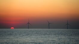 España pierde 207.000 euros al día por la resistencia a indemnizar a las renovables