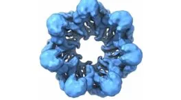 ‘Resucitan’ proteínas de hace 4.000 millones de años para descifrar la evolución celular