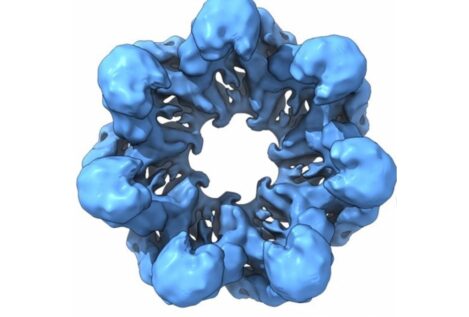 ‘Resucitan’ proteínas de hace 4.000 millones de años para descifrar la evolución celular
