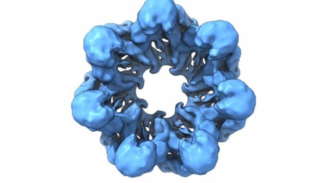 ‘Resucitan’ proteínas de hace 4.000 millones de años para descifrar la evolución celular