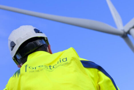 Forestalia, un gigante con pies de barro: el auditor duda de la viabilidad de su mayor filial