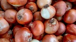 El truco con una cebolla para descongelar los cristales del coche antes de trabajar