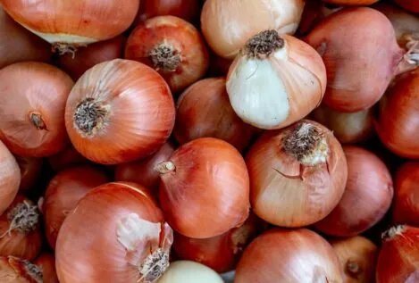 El truco con una cebolla para descongelar los cristales del coche antes de trabajar
