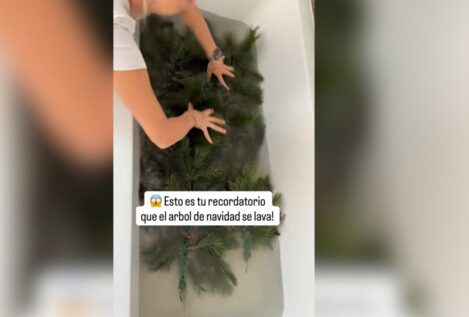 El truco para limpiar el árbol antes de montarlo este puente y que luzca perfecto