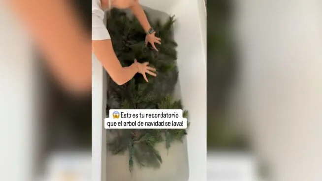 El truco para limpiar el árbol antes de montarlo este puente y que luzca perfecto