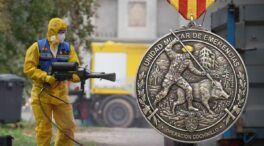 Mofas en el Ejército por la «operación cochinillo» de la UME en Cataluña