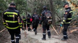 El blindaje imperfecto del porcino español