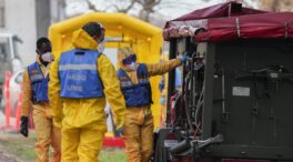 Cataluña detecta otros 13 casos de peste porcina, pero asegura que está contenida