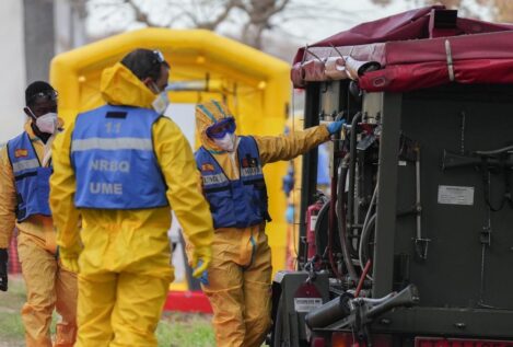 Cataluña detecta otros 13 casos de peste porcina, pero asegura que está contenida