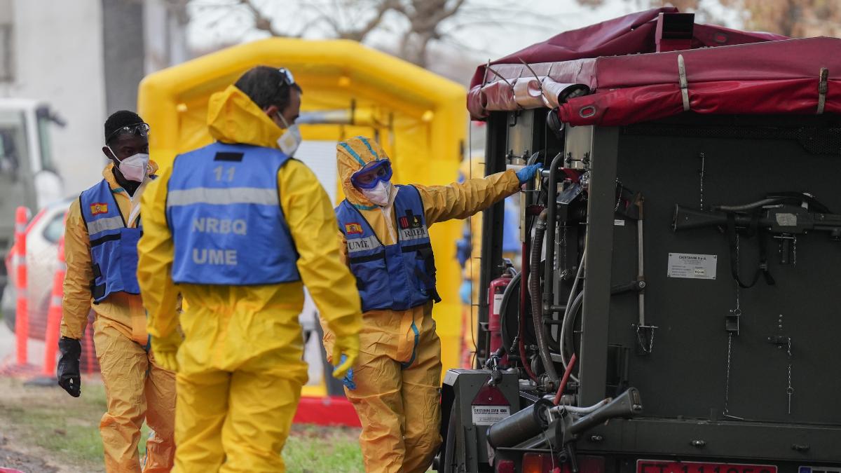Cataluña detecta otros 13 casos de peste porcina, pero asegura que está contenida