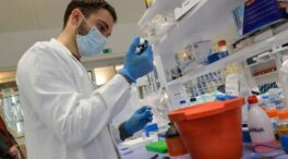 Europa desarrolla 29 vacunas para combatir las enfermedades entre humanos y animales