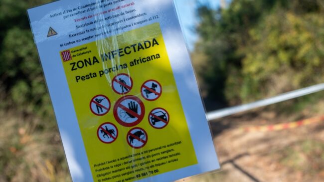 Detectado un caso humano de gripe porcina A en Lérida