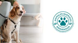 Grupo Albia abre las puertas de todos sus tanatorios a los animales de compañía