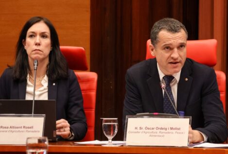 El Govern adelanta que habrá más casos de jabalíes afectados por la peste porcina