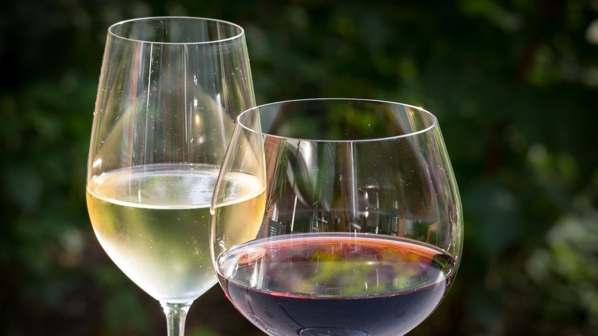 Castilla y León recibirá más de 9,4 millones para promocionar el vino en el extranjero en 2027