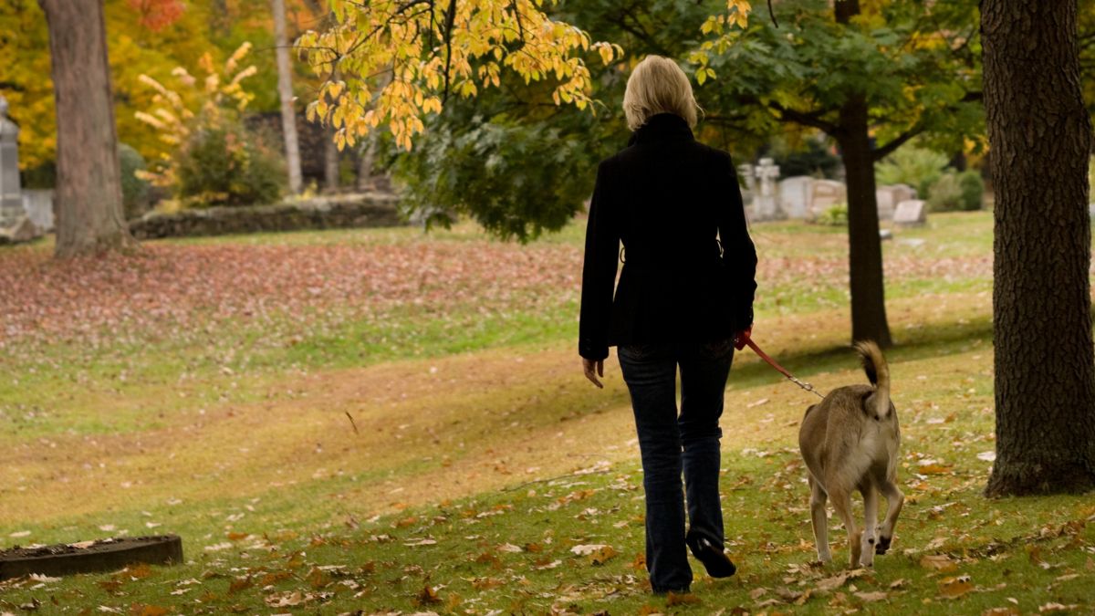 Mario Alonso Puig, médico: «Cuando una persona está fatigada, recomiendo muchísimo un paseo por la naturaleza para tranquilizar la mente»