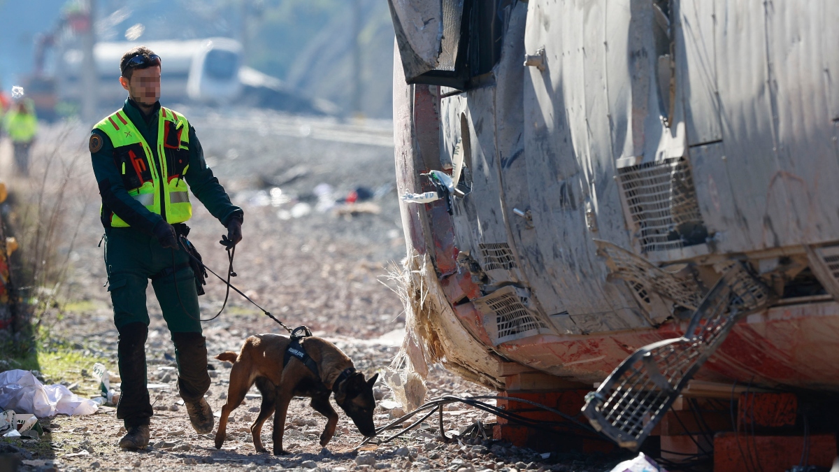 La Junta cree que los 42 fallecidos hallados hasta ahora se acercan a la cifra final