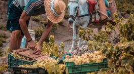 España es el país que más empleos crea de la UE, pero dos de cada tres son de inmigrantes