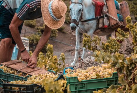 España es el país que más empleos crea de la UE, pero dos de cada tres son de inmigrantes