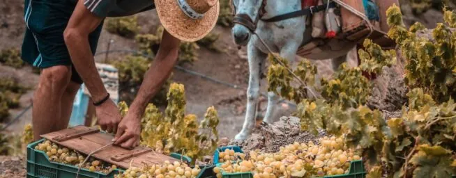 España es el país que más empleos crea de la UE, pero dos de cada tres son de inmigrantes