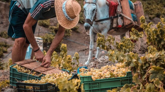 España es el país que más empleos crea de la UE, pero dos de cada tres son de inmigrantes