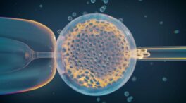 Identifican variantes genéticas maternas que influyen en la pérdida del embarazo