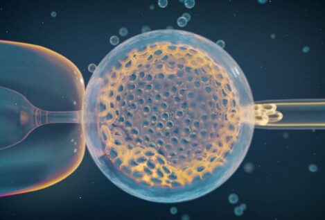 Identifican variantes genéticas maternas que influyen en la pérdida del embarazo