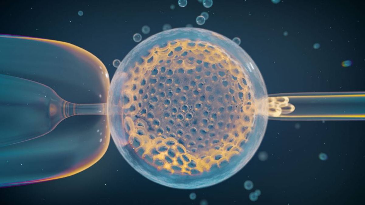 Identifican variantes genéticas maternas que influyen en la pérdida del embarazo