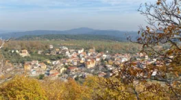 Este pueblo a solo una hora de Madrid tiene el castañar más grande de la Comunidad y febrero es el mejor momento para visitarlo