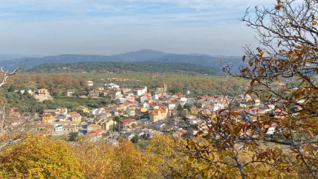 Este pueblo a solo una hora de Madrid tiene el castañar más grande de la Comunidad y febrero es el mejor momento para visitarlo
