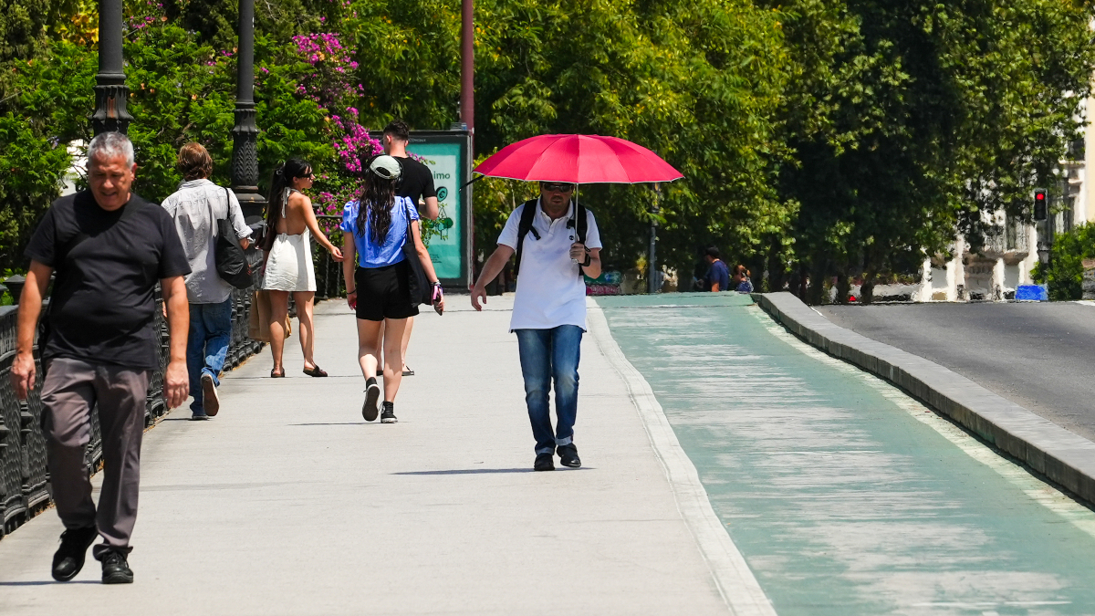 2025, uno de los cuatro años más cálidos desde 1961 e iguala a 2024 con una media de 15 °C