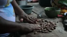 La colaboración real implica cambiar las reglas