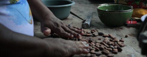 La colaboración real implica cambiar las reglas