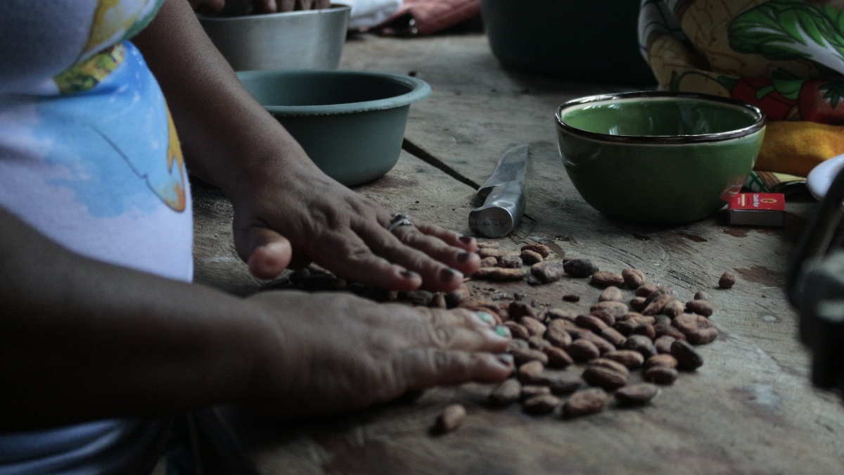 La colaboración real implica cambiar las reglas