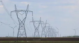 Red Eléctrica activa el sistema de antiapagones durante dos horas por el temporal