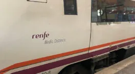 La caída de dos postes interrumpe el trayecto ferroviario Badajoz-Alcázar de San Juan