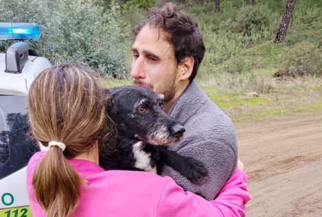 Los bomberos rescatan a Boro, el perro extraviado tras el accidente en Adamuz