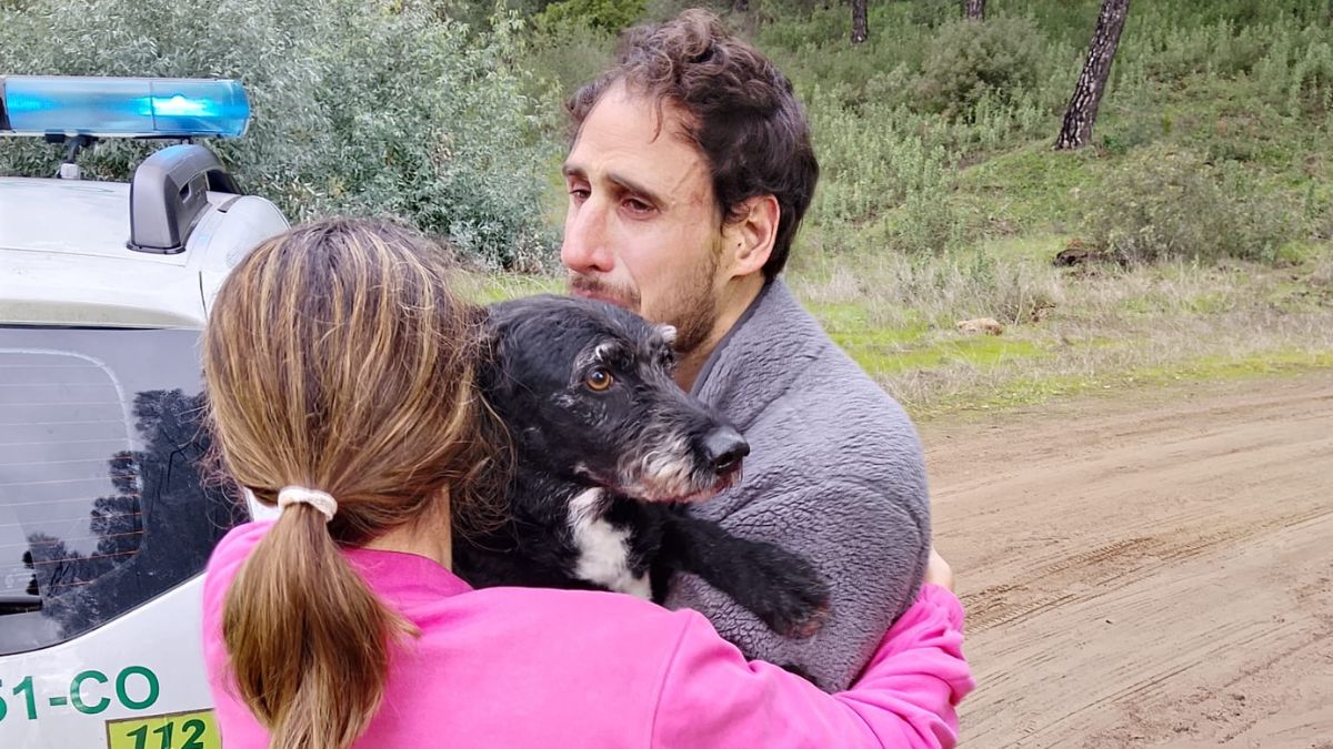 Los bomberos rescatan a Boro, el perro extraviado tras el accidente en Adamuz