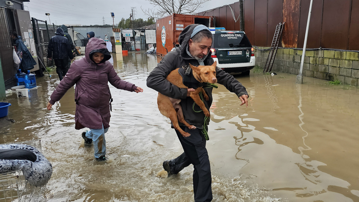 Andalucía pide «máxima precaución» ante la borrasca ‘Francis’ que deja ya 261 incidencias