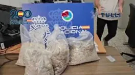 Desmantelan una red del cártel de Sinaloa que ocultaba metanfetamina en mármol en España