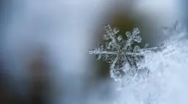 La física de los copos de nieve: ¿es cierto que no existen dos iguales?