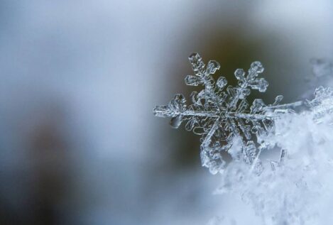 La física de los copos de nieve: ¿es cierto que no existen dos iguales?