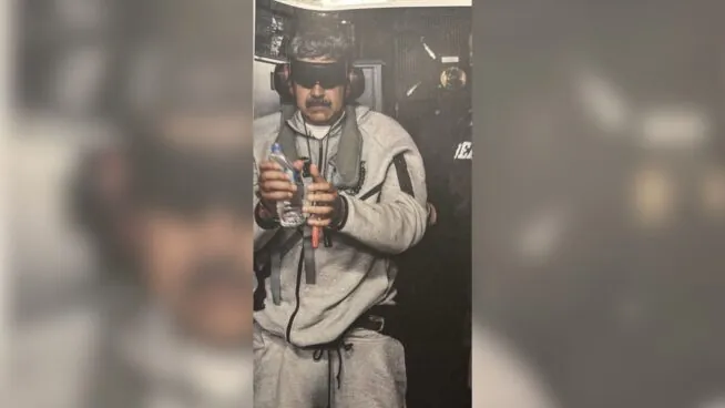 El delfín de Año Nuevo