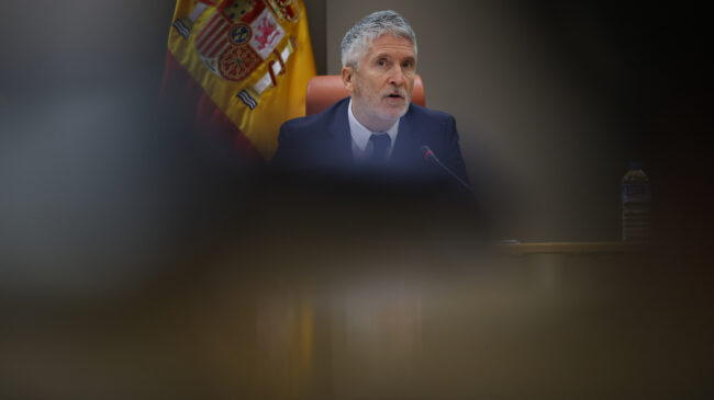 Transparencia obliga a Marlaska a explicar las medallas al comisario del 'caso Nacho Cano'