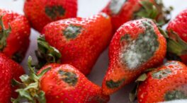 David Callejo, médico, alerta sobre el moho en la fruta, aunque lo quites: «Ten cuidado, te puede enfermar gravemente»