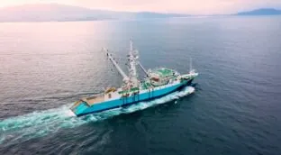 La fuerza invisible de Nauterra: una familia, el mar y la obsesión por la innovación