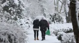 La intensa nevada de Madrid, en imágenes: así están las carreteras y calles de Las Rozas, Majadahonda y otras zonas afectadas