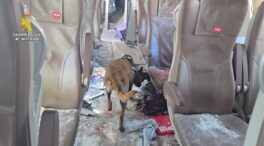 VÍDEO | La Guardia Civil inspecciona junto con un perro el tren Iryo accidentado