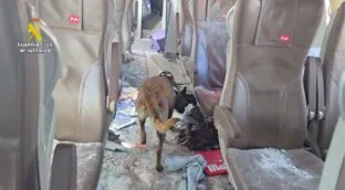 VÍDEO | La Guardia Civil inspecciona junto con un perro el tren Iryo accidentado